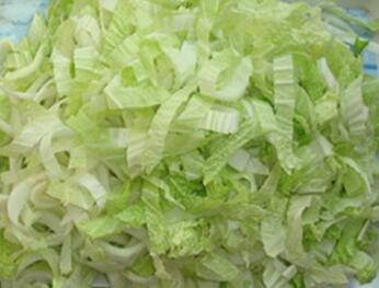 STW-805叶菜类切菜机配图2